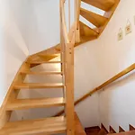 Appartement Nordsteer Zingst